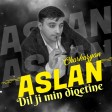 Aslan Charkazyan - Dil Ji Min Diqetine
