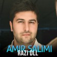 Amir Salimi - Razi Dll  2020