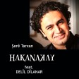 Delil Dilanar - Şerê Tarxan