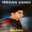 Hozan Deniz - Halay Delilo  2019