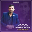 Jamal Mamoyan - Dilber (New 2021)