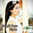 Serpil Kaya - Ziyan  2019