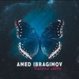 Amed Ibragimov - Бабочка любви